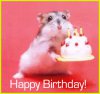 mouse-Happy Birthday.jpg