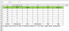 Excel.PNG