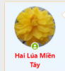 1593764607391.png