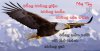 FB_IMG_1599182402071.jpg