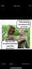 1603443614732.png