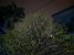 20210211_052047.jpg