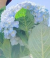 1685159303791.png