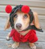 christmas_cute-43.jpg