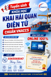 khai hải quan.png