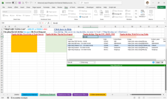 Nhaplieunangcao-DataSource-URL_DATA03.png