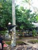 ap_2009123009442584.jpg