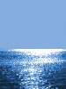 031021_dolphin[2].gif