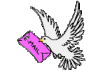 E-mail-3.gif