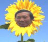 hoa.jpg