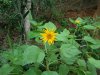 2013-04-09 14.59_3.jpg
