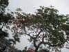 IMG_5483.JPG