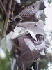 IMG0006A.jpg