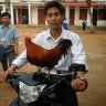 Nguyên1988