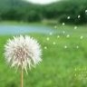 Thanh4578