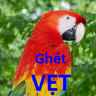 Ghét Vệt