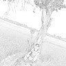 quydang.hx