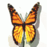 alobobo