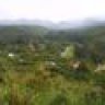 banmai2010