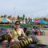 jenny_happylife
